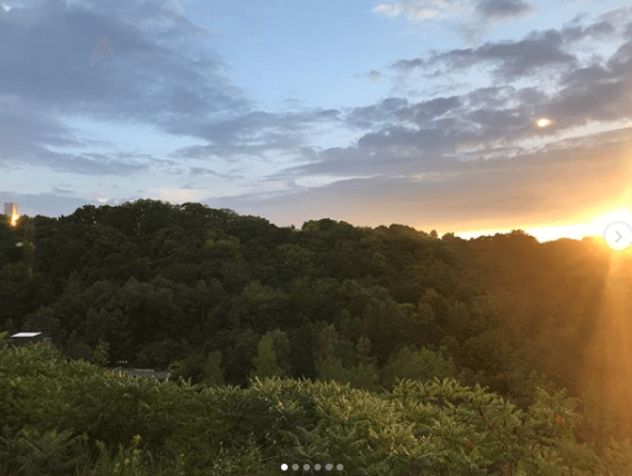 Noah Danby Nature Lover (Lifestyle)